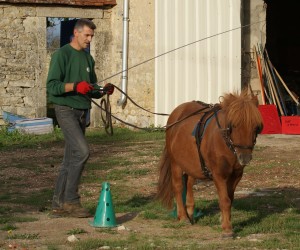 JF suit son poney,  mais les guides qui leur permettent de communiquer ensemble sont lâches et donc sans utilité.