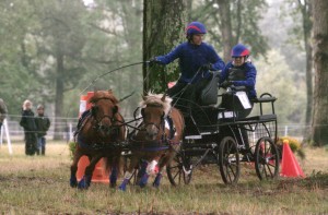 Championnat de France 2011 : Ernest et Poye abordent l'obstacle n°1 avec beaucoup de joie et d'énergie.